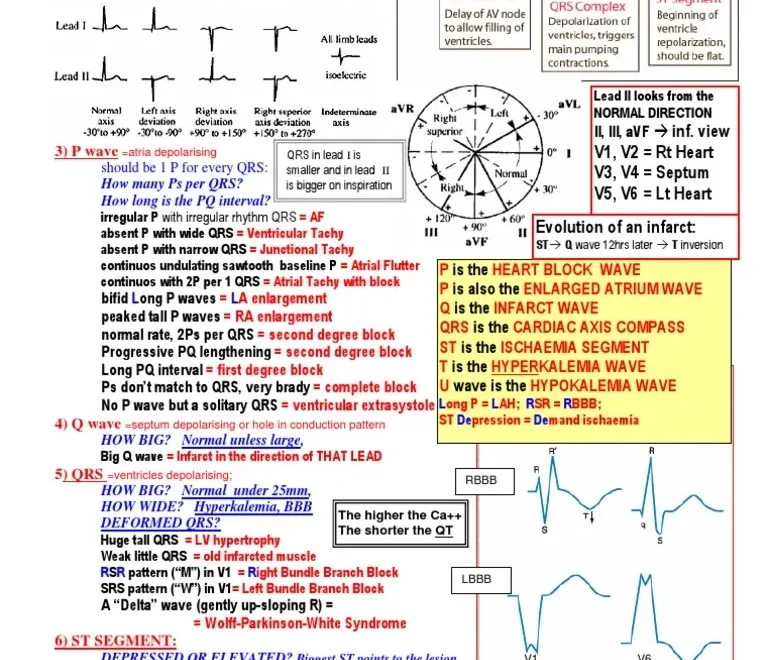 ECG Interpretation Cheat Sheet PDF Electrocardiography