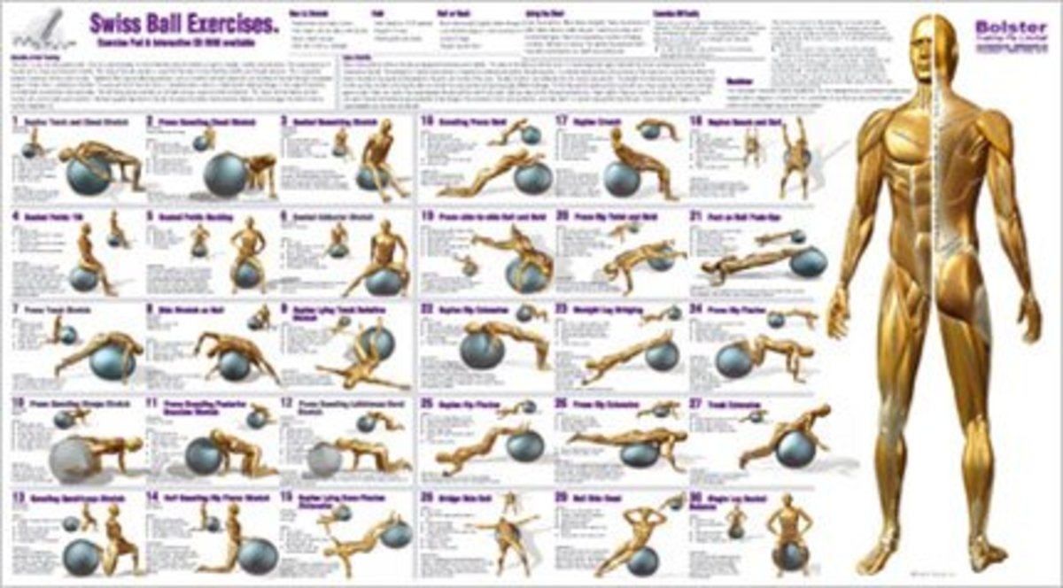 Printable Exercise Ball Charts