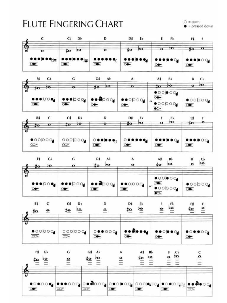 Flute Fingering Chart PDF