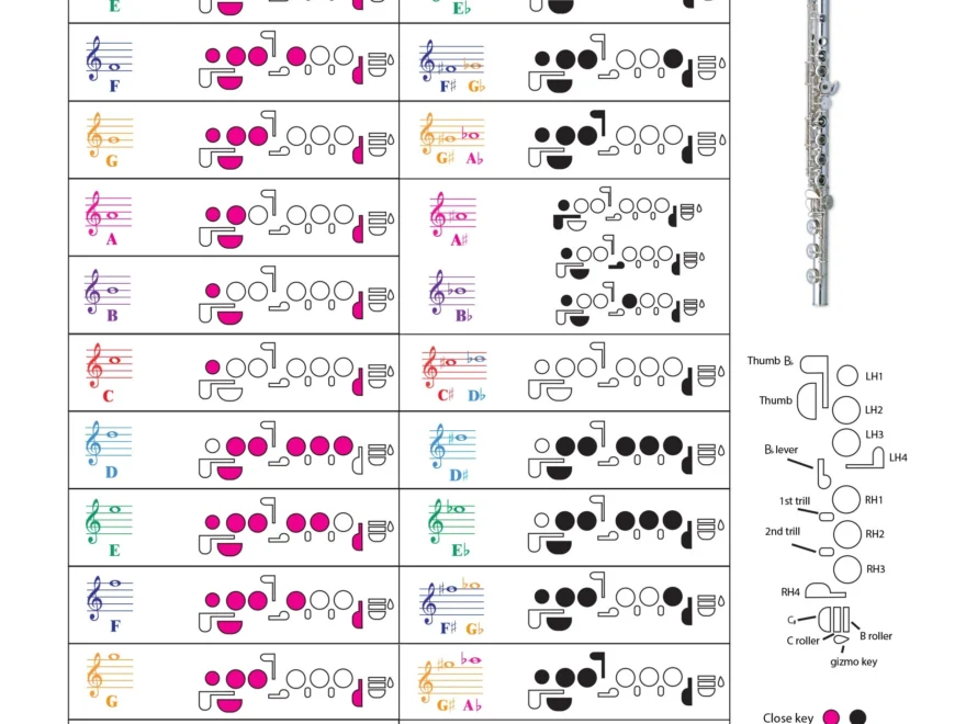 Flute Fingering Chart With Color coded Notes Learn Flute
