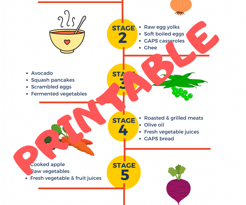 Free Printable GAPS Introduction Diet Stages Bumblebee Apothecary