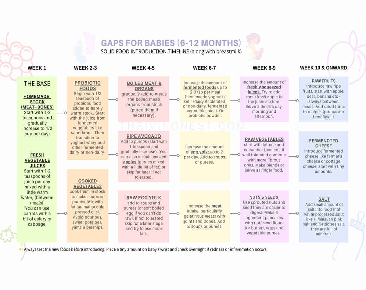 Printable Intro Gaps Diet Food List