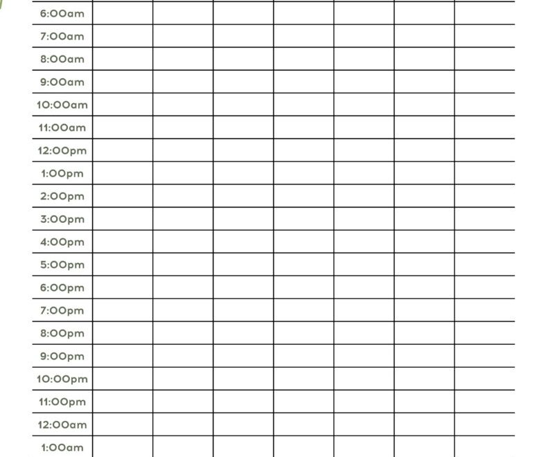 Hourly Planners 20 FREE Printables Printabulls