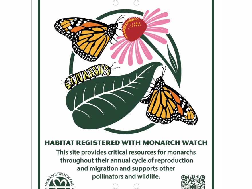 Monarch Waystation Registration And Sign Bundle 190005 Monarch