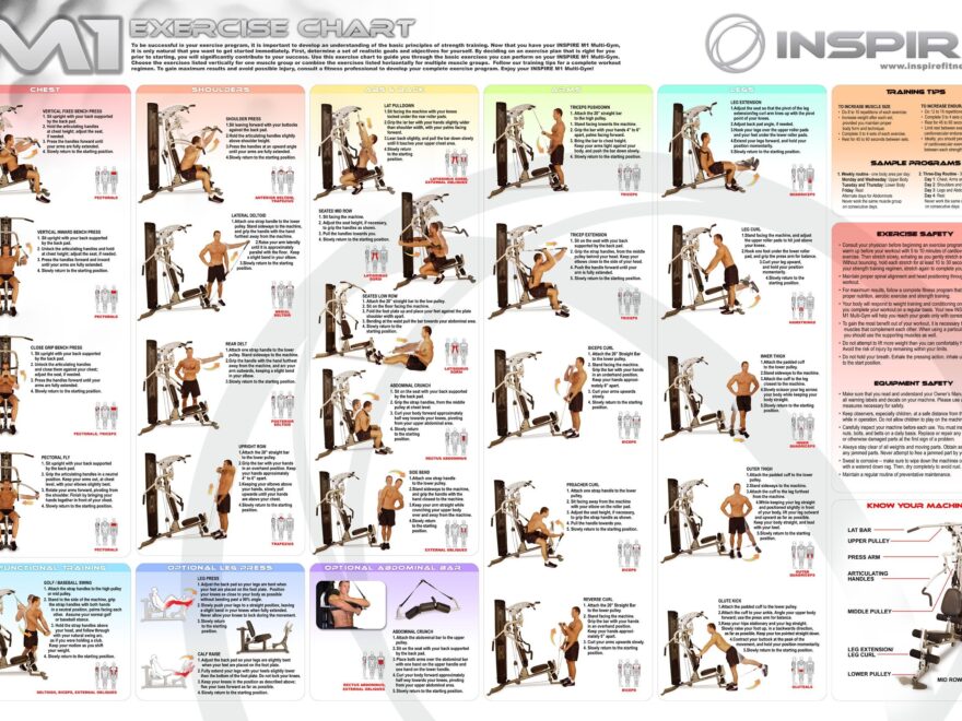 Pdf At Home Gym Program Free Printable Gym Routine Exercise Chart