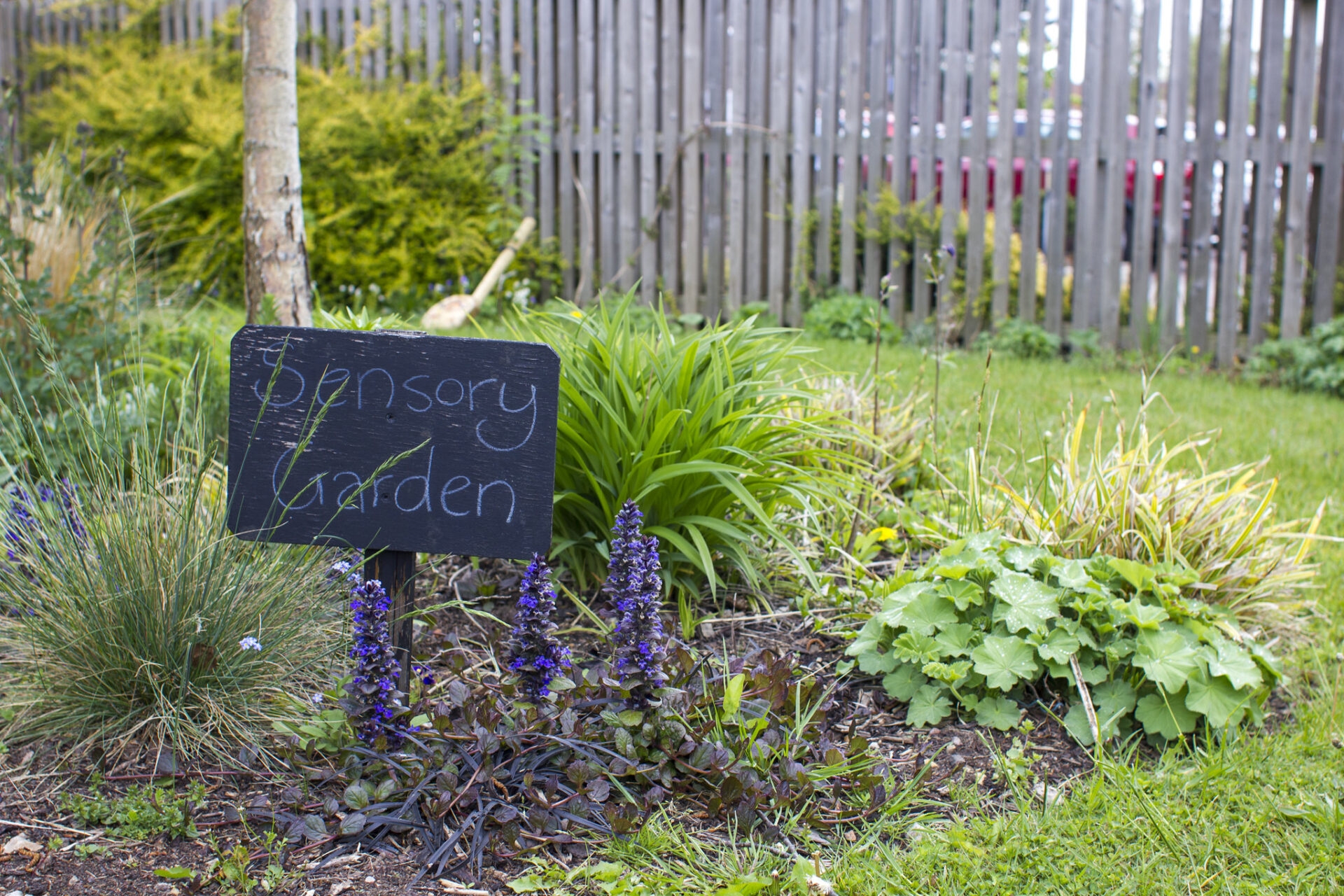 Printable Signs For Sensory Garden Printable Signs For Sensory Garden